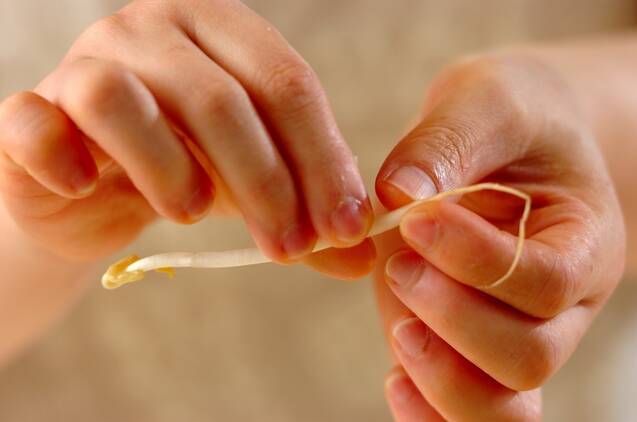 ゴマみそダレの豚しゃぶしゃぶの作り方の手順1