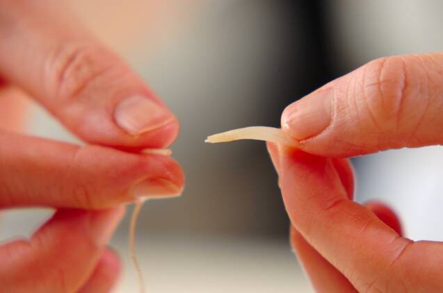 モヤシと豚しゃぶの中華和えの作り方の手順1