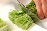 シャキシャキ水菜のサラダの下準備1