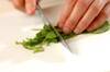 ラディッシュの葉っぱも美味しく！5分で作れるサラダ by杉山 遊さんの作り方の手順1