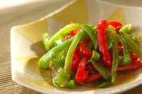 花椒を使いこなそう！ピーマンと和えて辛さを生かす by岡本 由香梨さん