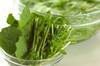 ルッコラのサラダの作り方の手順1
