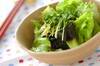 ワカメと貝われ菜のグリーンサラダの作り方の手順
