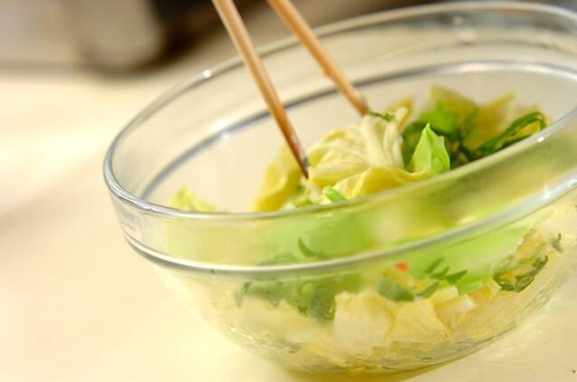 春キャベツの梅マヨ和えの作り方の手順4