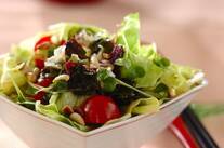 レタスと海藻のサラダ