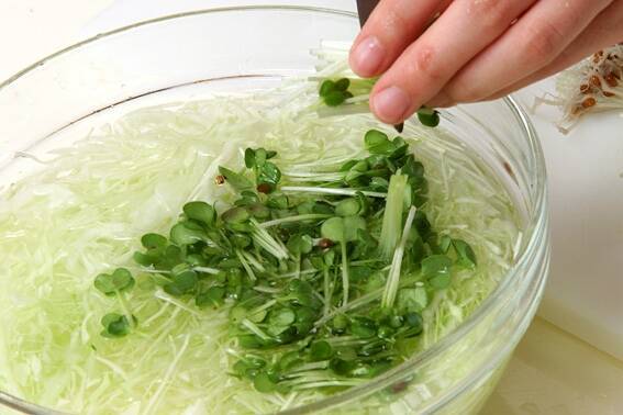 かぼちゃコロッケ ほくほく素朴な甘い味わい 簡単人気の基本レシピの作り方の手順2