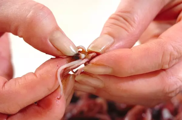 ホタルイカとフキの炊き込みご飯の下準備1