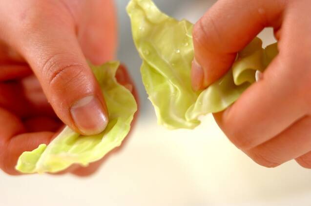 キャベツとツナの簡単酢サラダの作り方の手順1