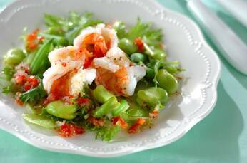 エビとソラ豆のグリーン・サラダ　ソースラビゴット