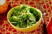 ピーナッツドレッシングのサラダ