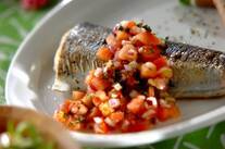 サワラのトマトソース
