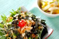 鶏ささ身の和風サラダ