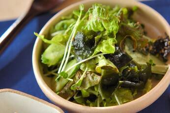 サニーレタスの和風サラダ