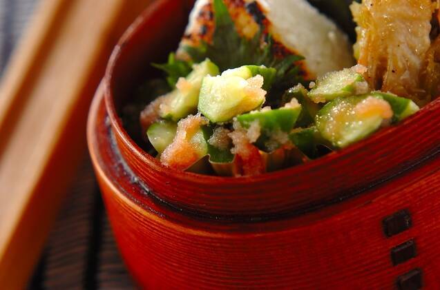 タラコキュウリ