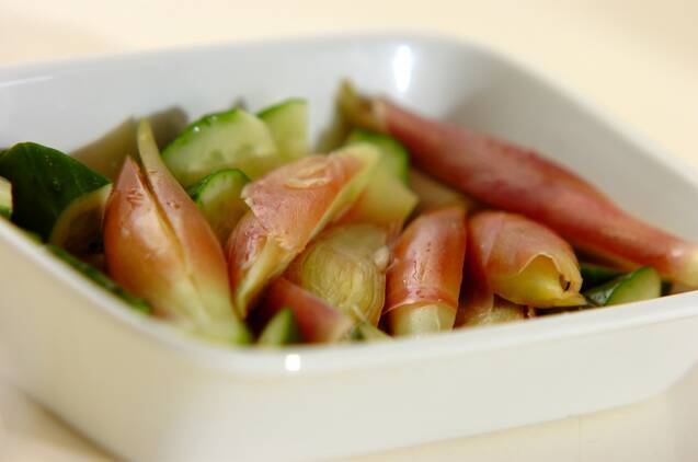 ミョウガとキュウリの甘酢漬けの作り方の手順3