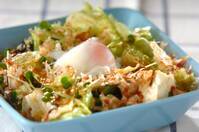 豆腐の満足サラダ