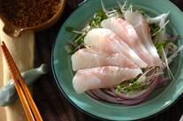 お刺身サラダの卵黄ソース