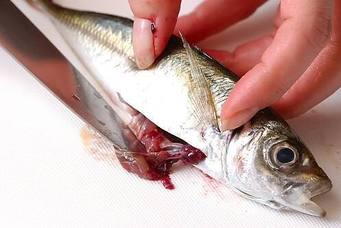 小アジのマリネの作り方の手順1