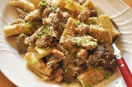 鶏と新ゴボウのリガトーニ（ペンネ）