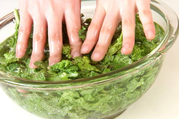 春の定番！菜の花のからし和えの作り方の手順1