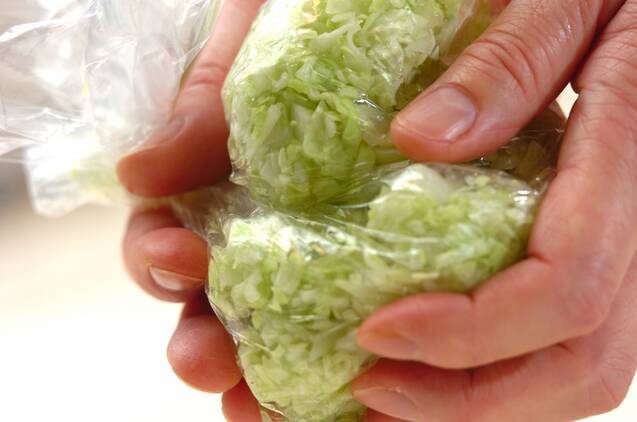 ゴーヤの餃子の作り方の手順2