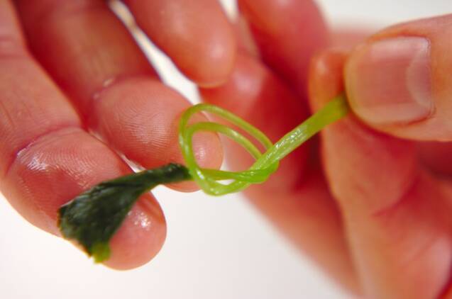 卵の巾着煮の作り方の手順2