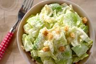 春キャベツのシーザーサラダ風