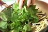 ほうれん草ニンニク炒めの作り方の手順5