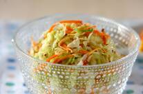 せん切りキャベツのマスタードマヨサラダ