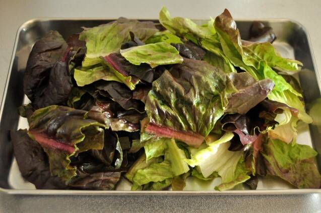 鶏つみれとレタスのスープの作り方の手順1