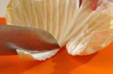 キャベツの昆布和えの下準備1