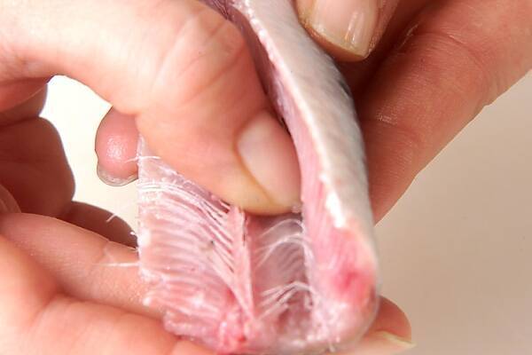 イワシの蒲焼きの作り方の手順1