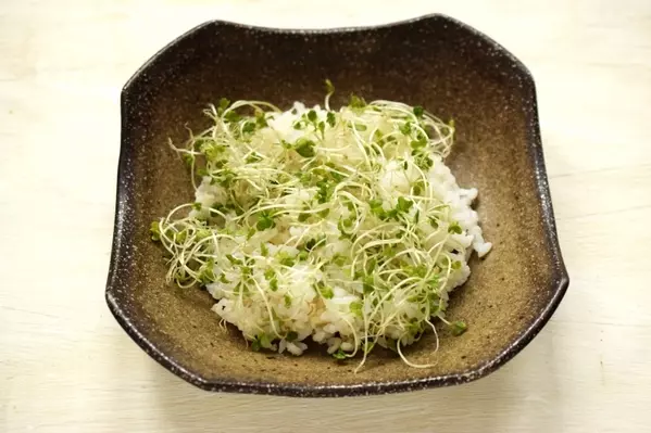 カツオとアボカドの梅しそ和え丼の作り方4