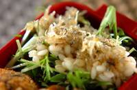 水菜とチリメンジャコのサラダ