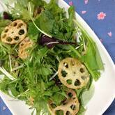 レンコンサラダ