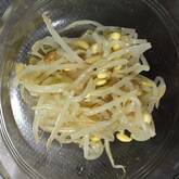 豆モヤシのナムル