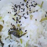 刻み漬け物の混ぜご飯