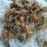納豆とジャコのせご飯