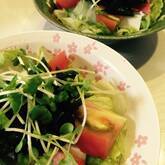 豆腐とワカメのサラダ