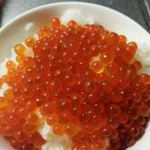 しょうゆイクラ