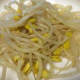 豆モヤシのナムル