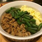 彩り鮮やか！簡単基本の三色丼 ご飯がすすむ 卵と鶏とキュウリで作る