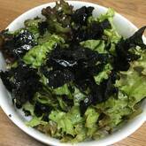 10分で絶品チョレギサラダ 食欲そそる定番の味 by近藤 瞳さん