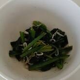 簡単！ほうれん草のおひたし 定番の作り方 無限に食べられる味わい