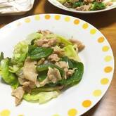 豚と野菜のショウガ炒め