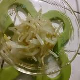 簡単！もやしのナムル 炒めてやみつきの味わい by保田 美幸さん