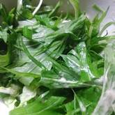 白菜のマスタード和え