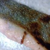 鮭のバターソテー