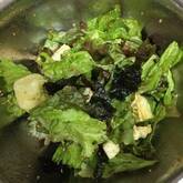 10分で絶品チョレギサラダ 食欲そそる定番の味 by近藤 瞳さん