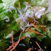 ワカメの香味サラダ